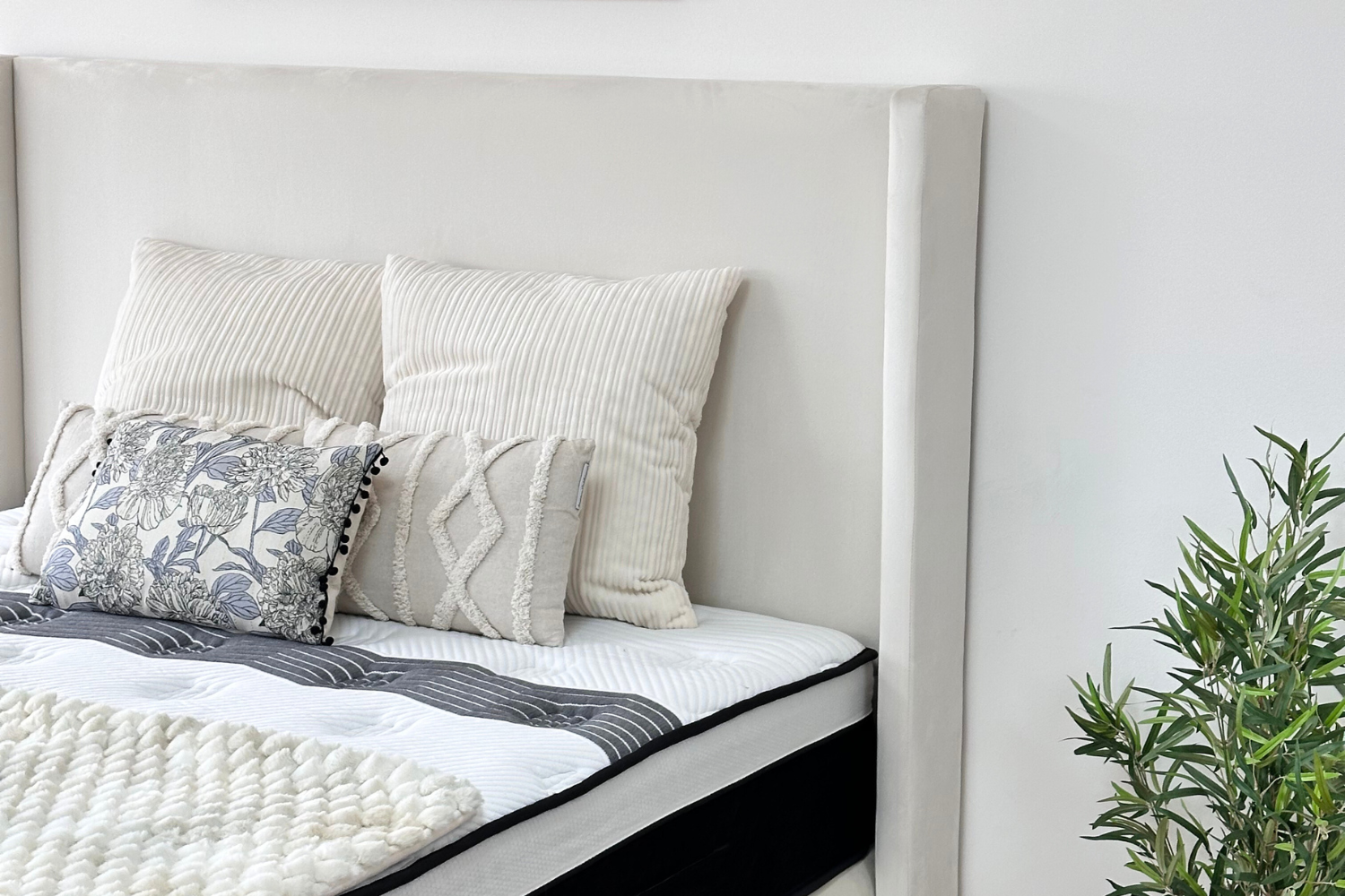 Lit Coffre COCO BLANC ECRU - Velours